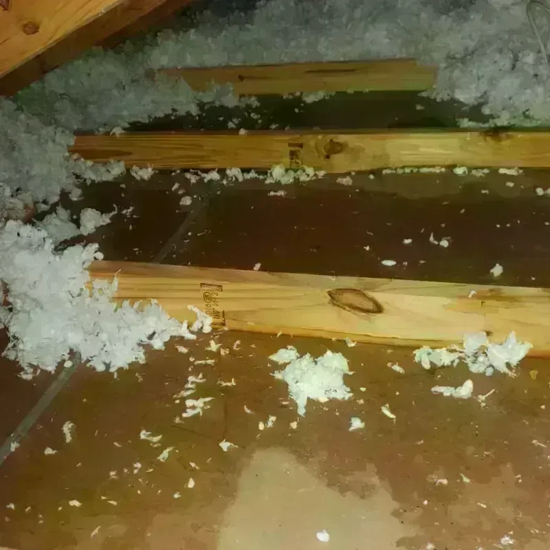 Attic Water Damage in Sandy Valley, NV