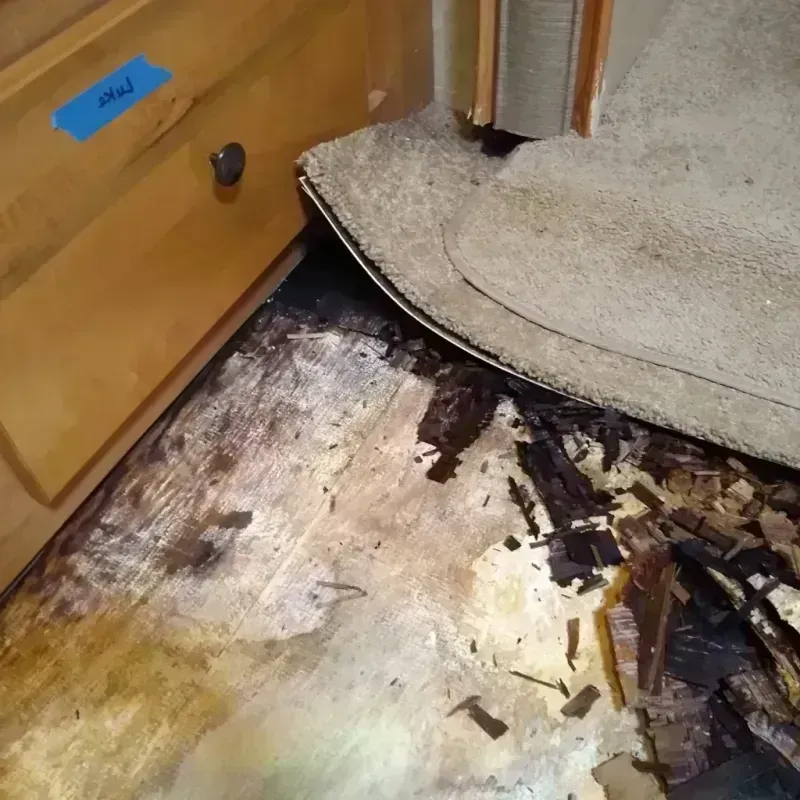 Wood Floor Water Damage in Sandy Valley, NV